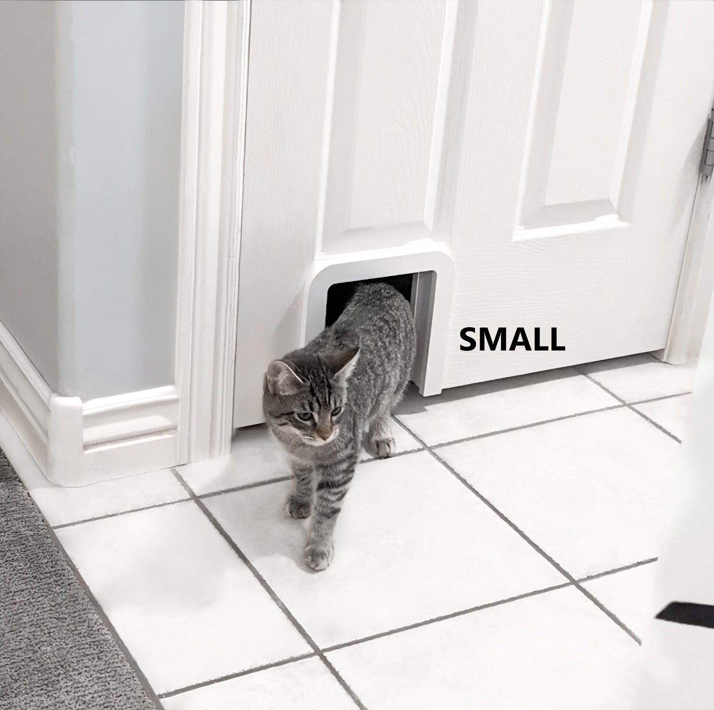 Square Interior Cat Door