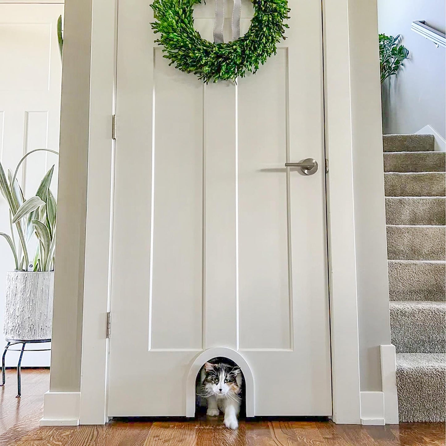 Simple Interior Cat Door (Tall Arch)