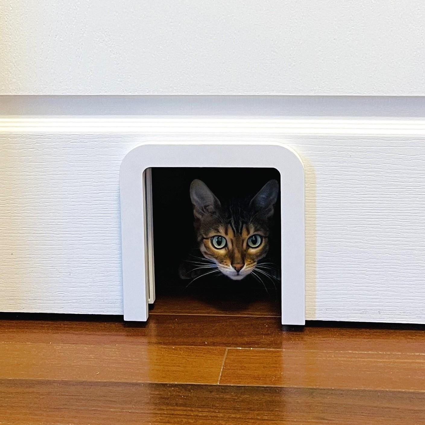 Cat Door for Pocket Door (Low Profile)