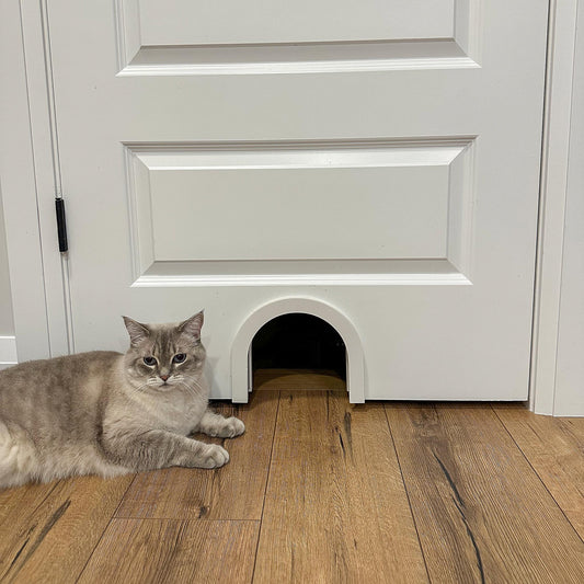Simple Interior Cat Door (Short Arch)