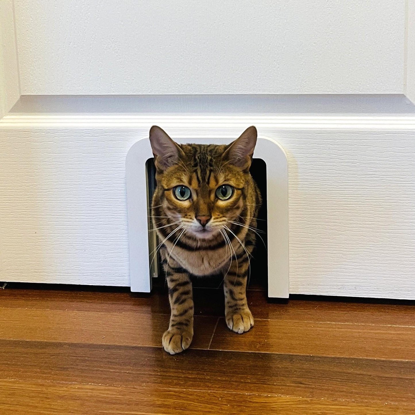 Square Interior Cat Door
